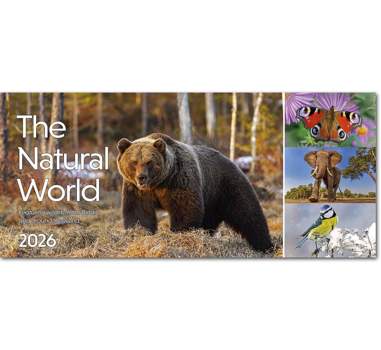 The Natural World Desk Calendar