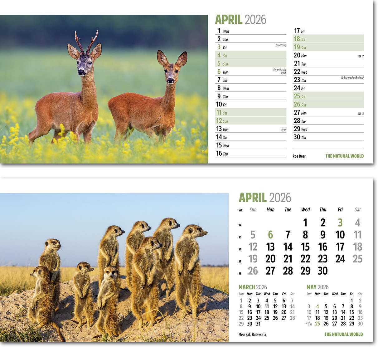 The Natural World Desk Calendar