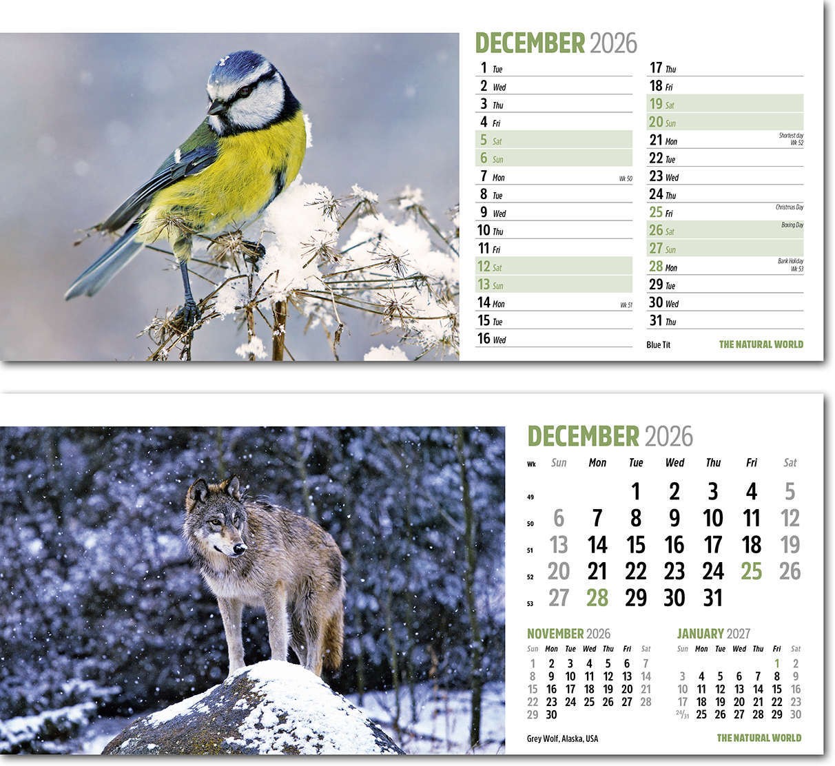 The Natural World Desk Calendar