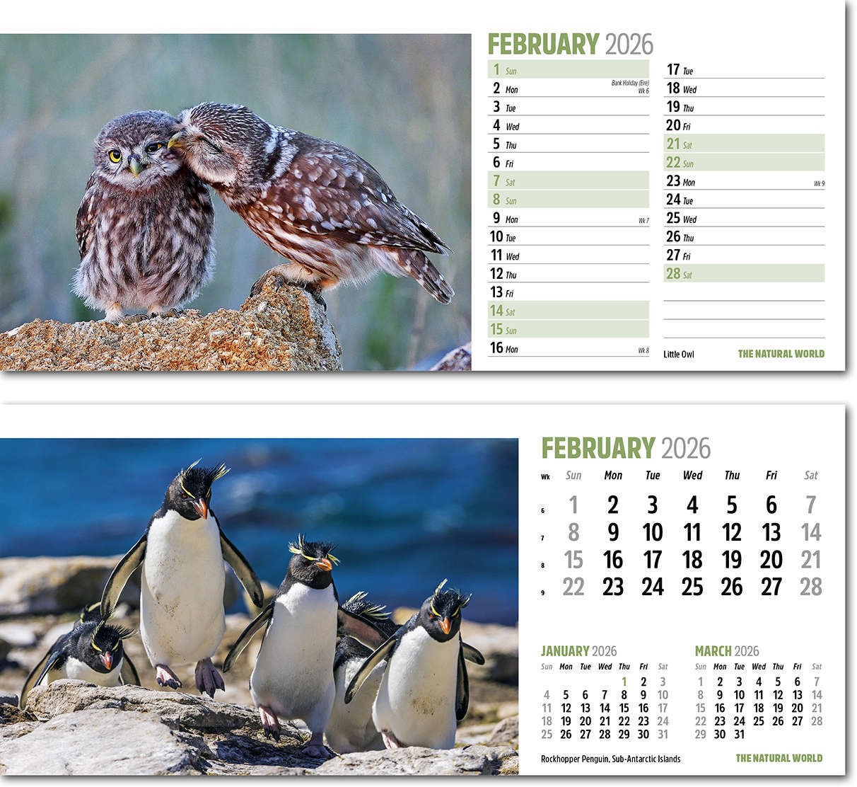 The Natural World Desk Calendar