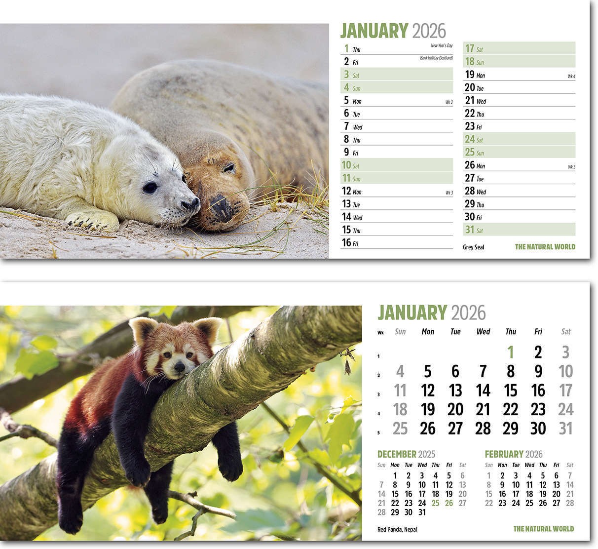 The Natural World Desk Calendar