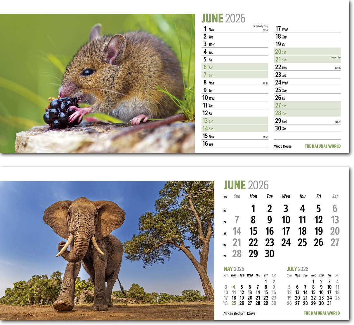 The Natural World Desk Calendar