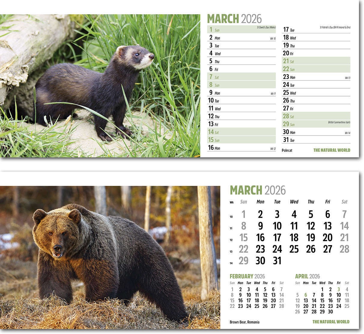 The Natural World Desk Calendar