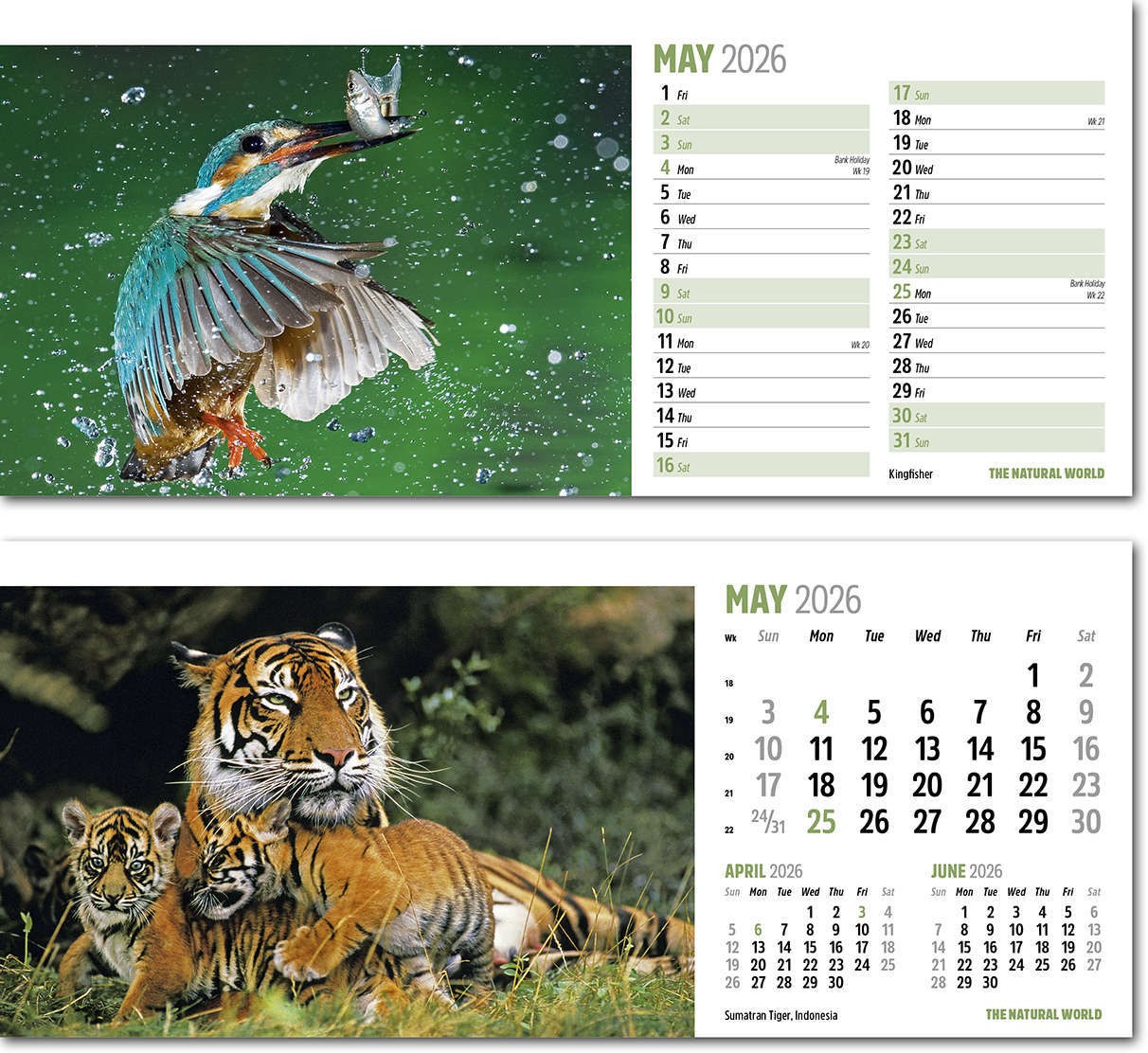 The Natural World Desk Calendar