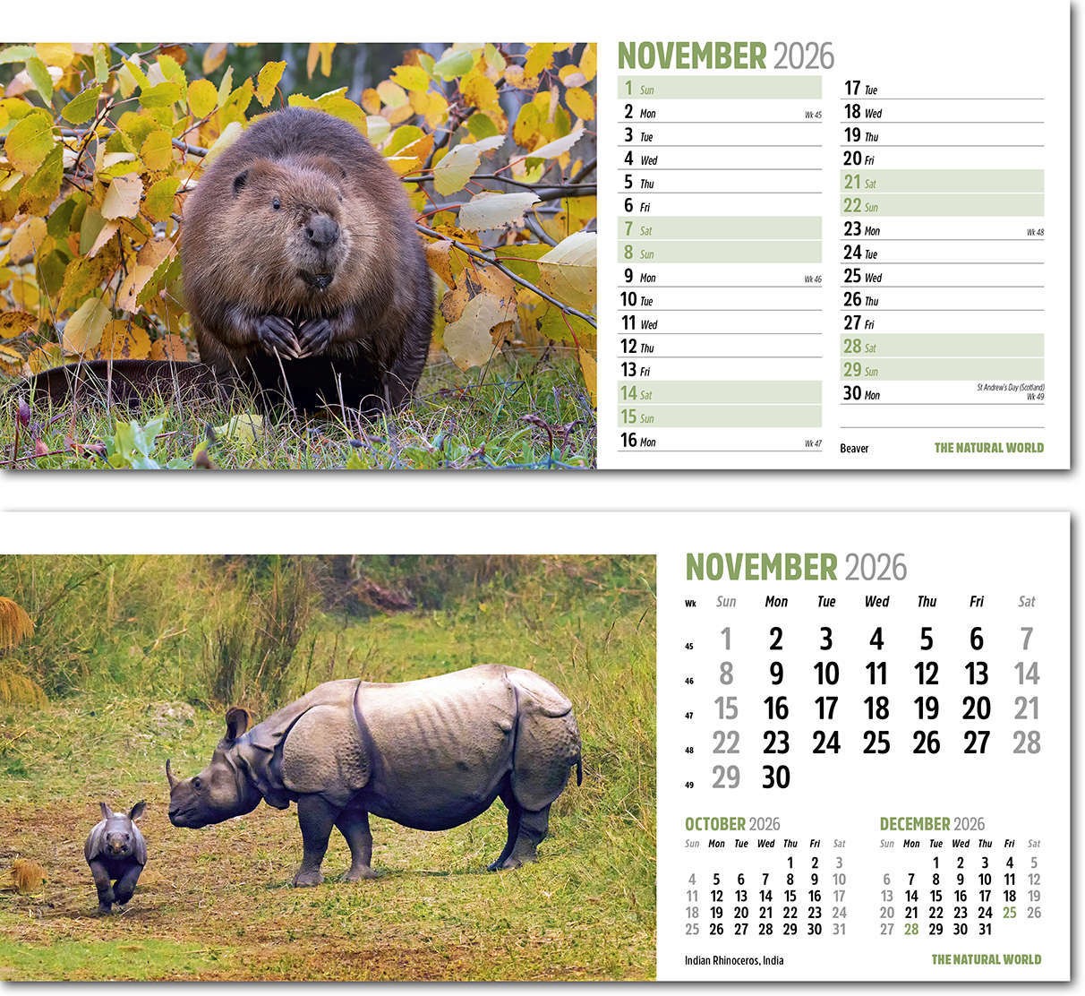 The Natural World Desk Calendar