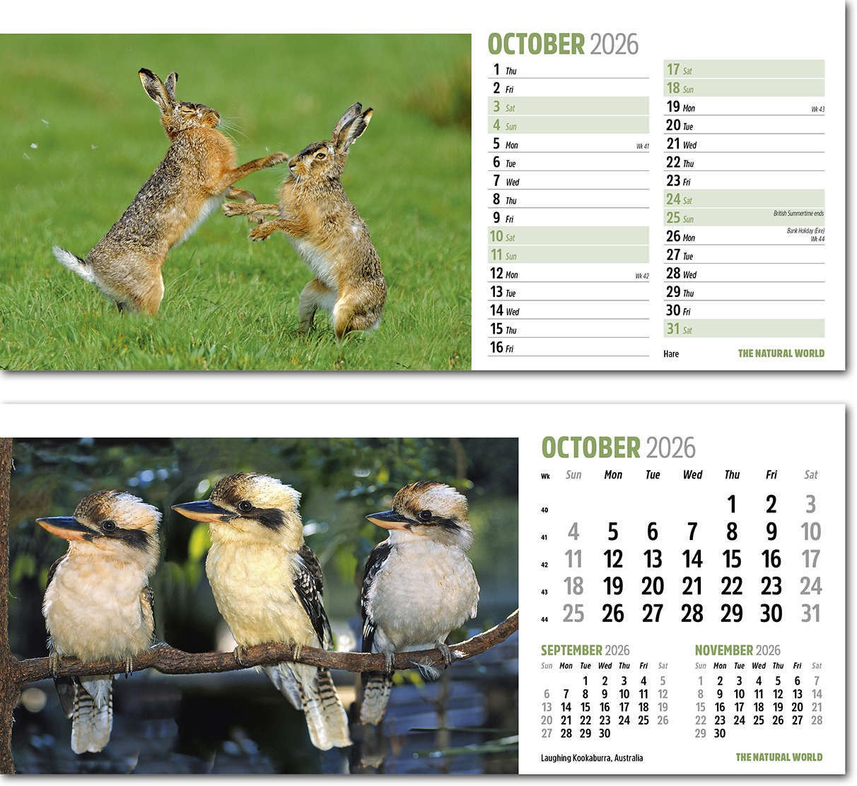 The Natural World Desk Calendar