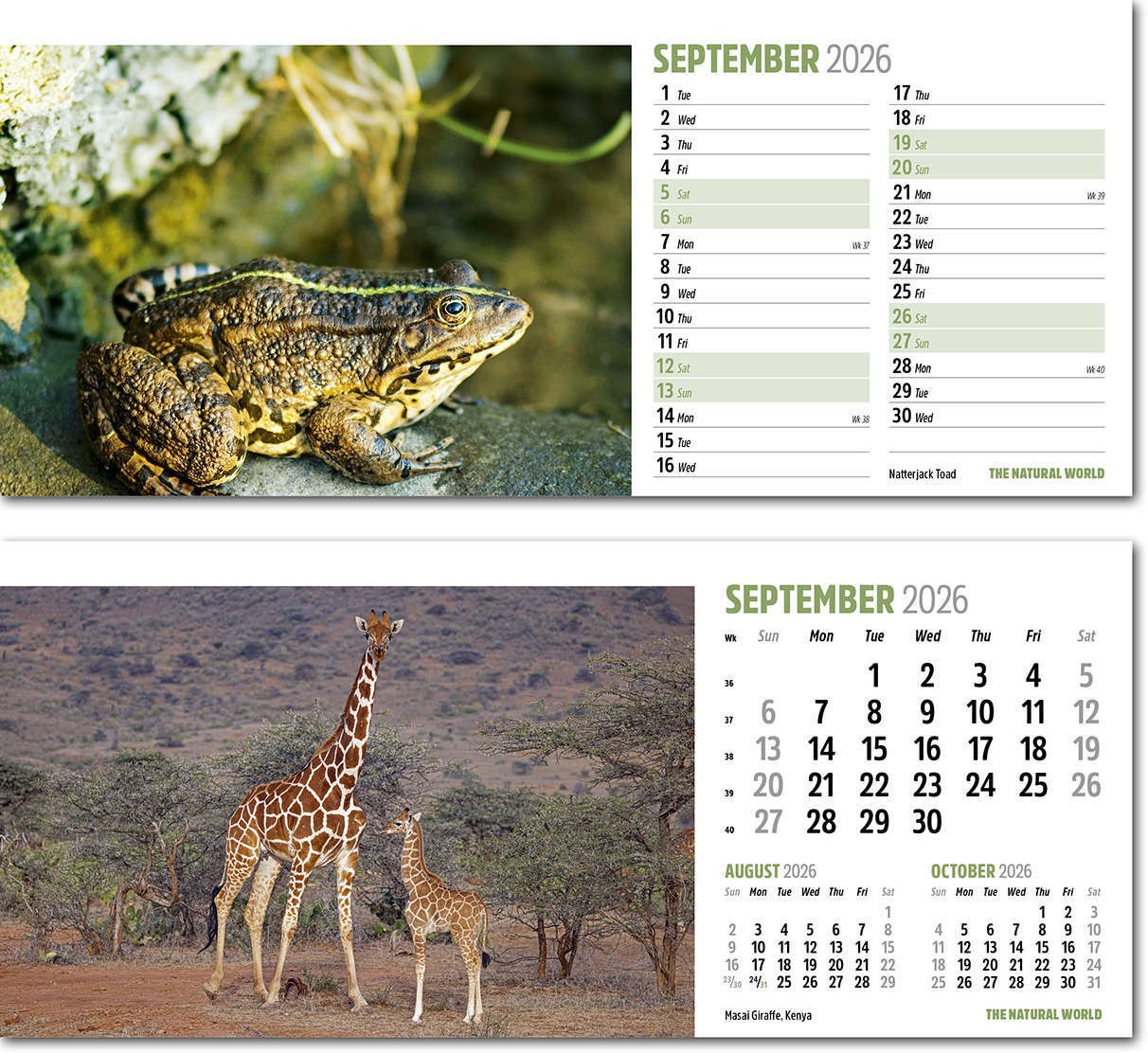The Natural World Desk Calendar