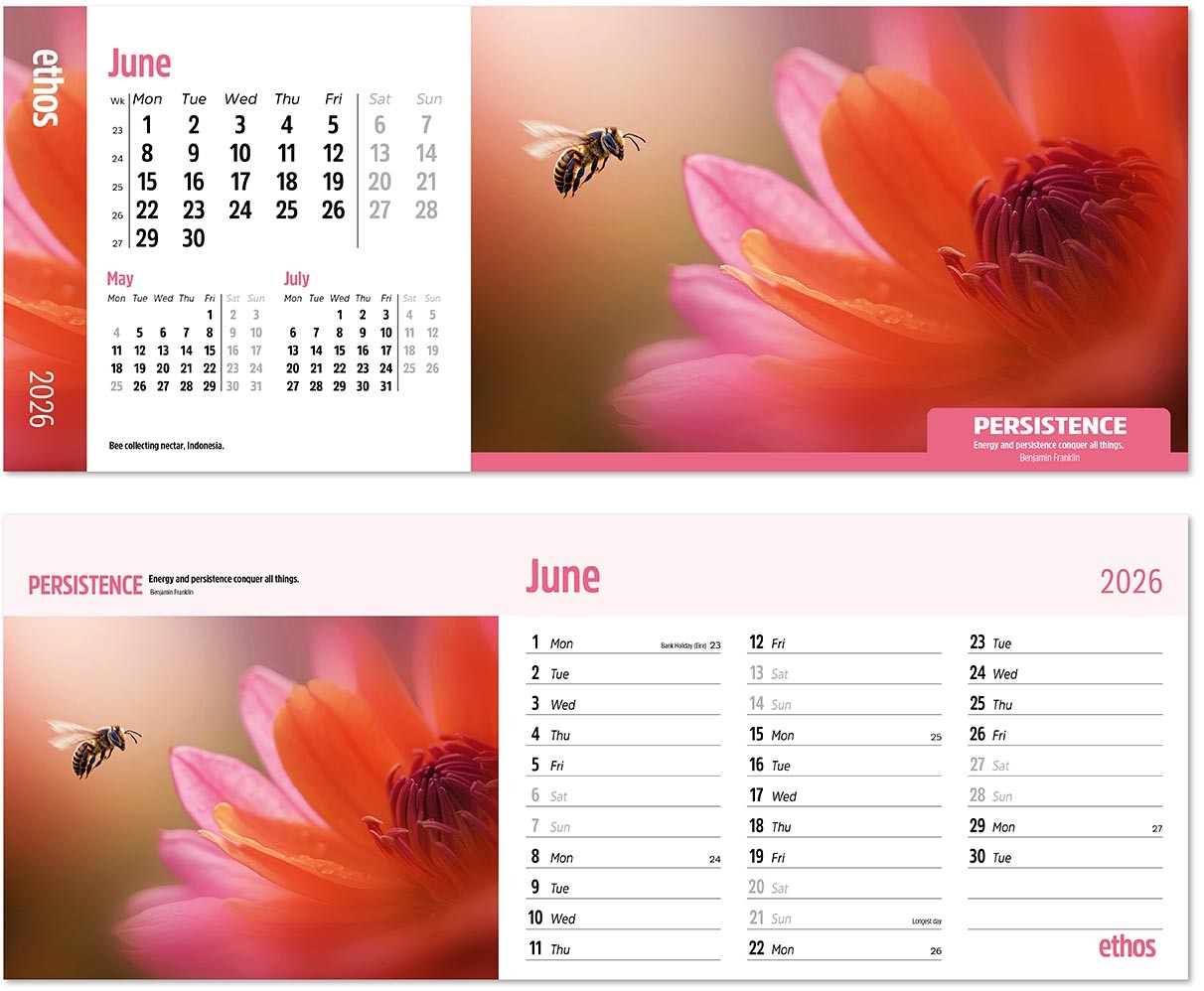 Ethos Desk Calendar