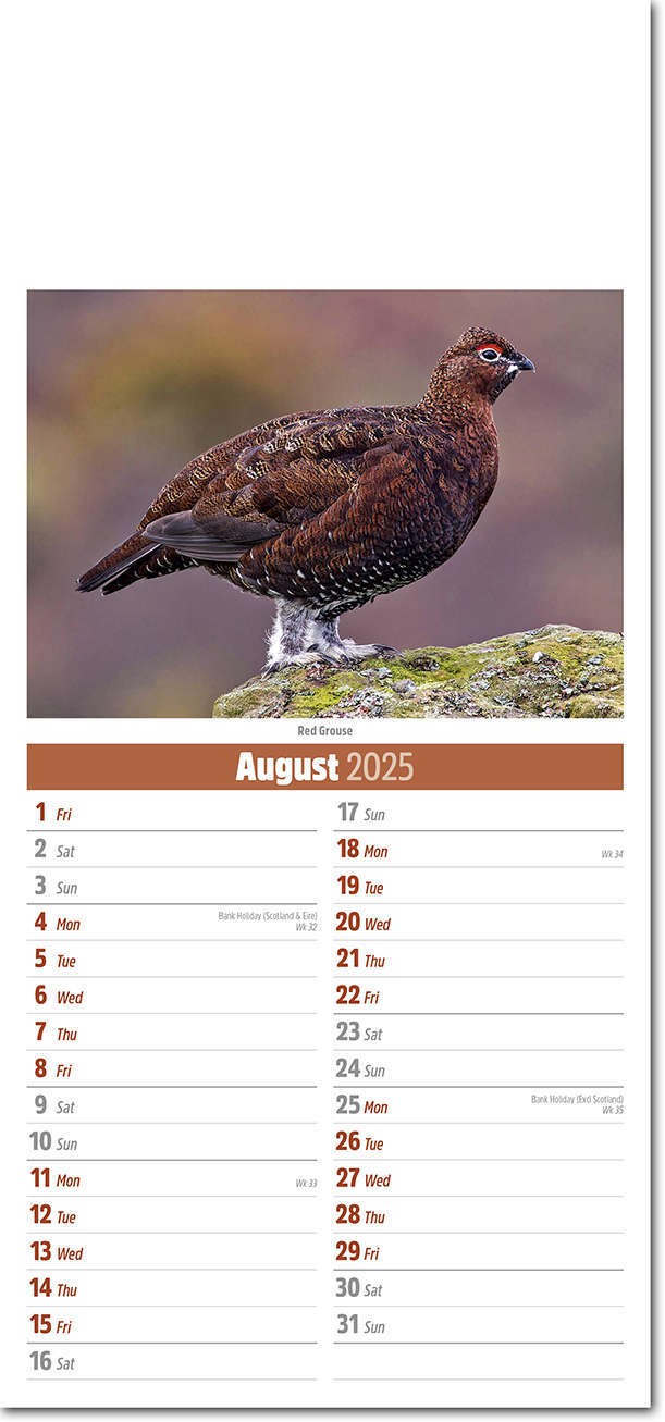 Slimline British Wildlife Compact Calendar