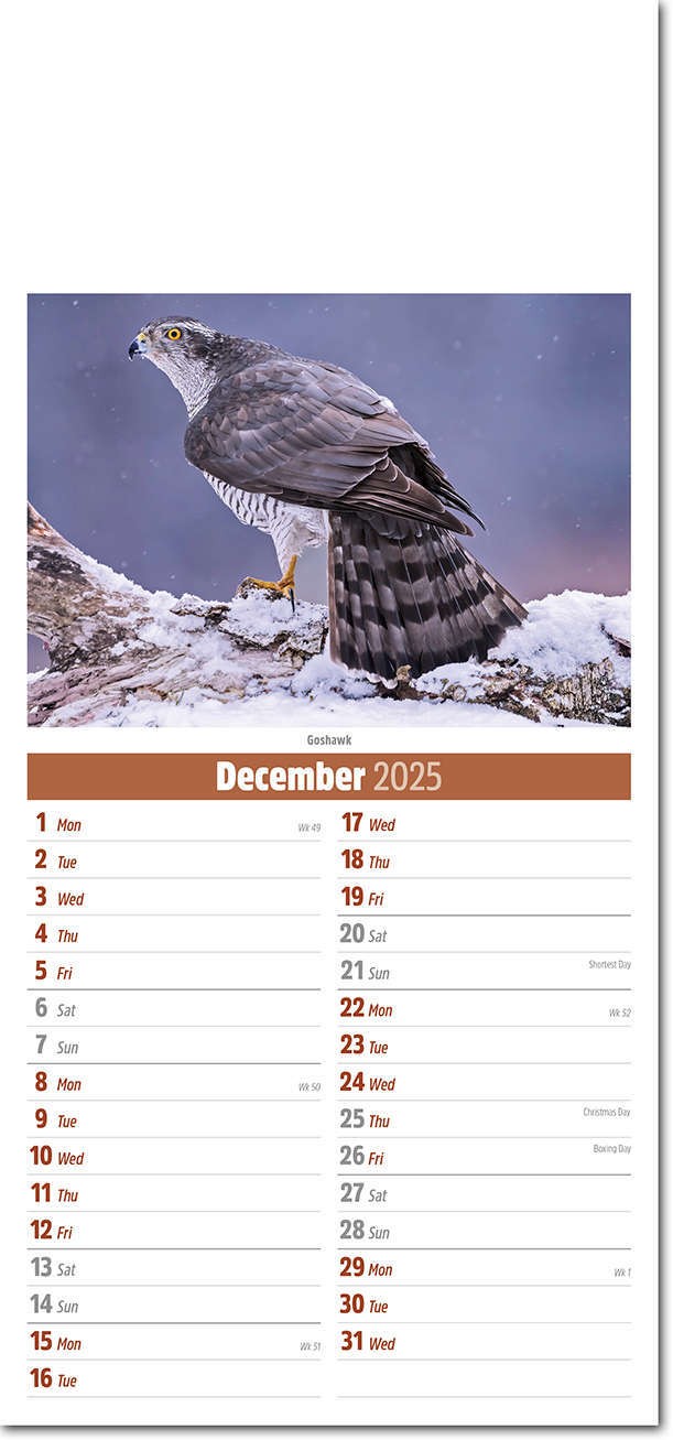 Slimline British Wildlife Compact Calendar