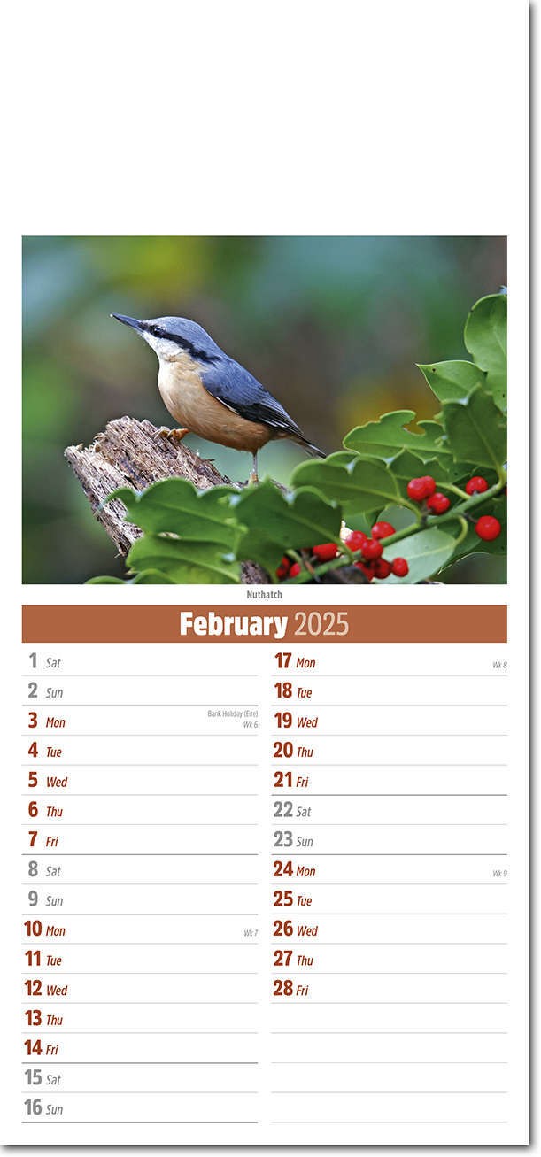 Slimline British Wildlife Compact Calendar