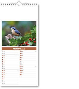 Slimline British Wildlife Compact Calendar