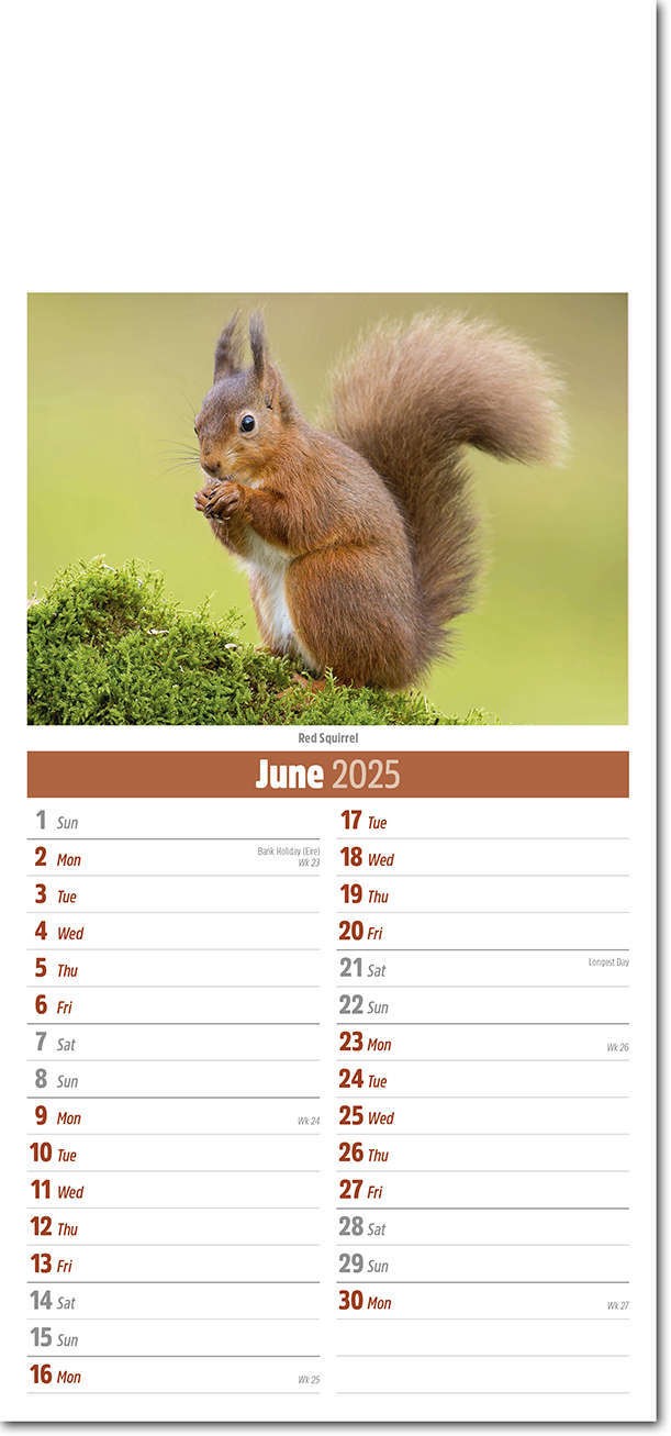 Slimline British Wildlife Compact Calendar