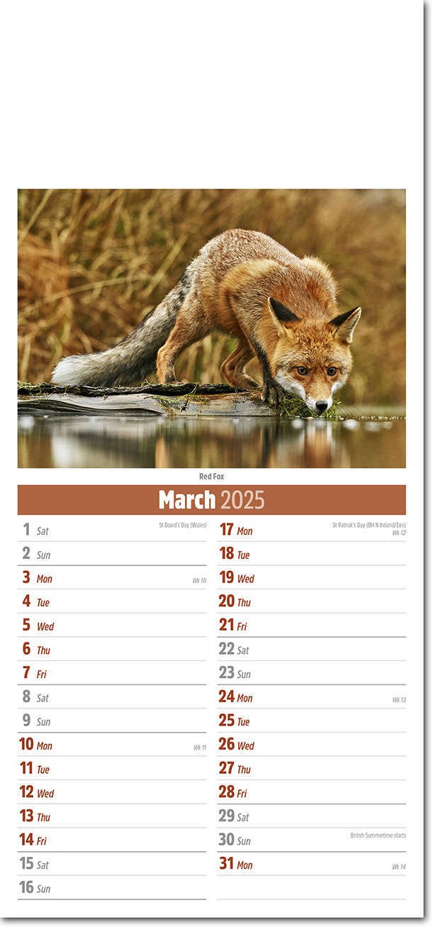 Slimline British Wildlife Compact Calendar