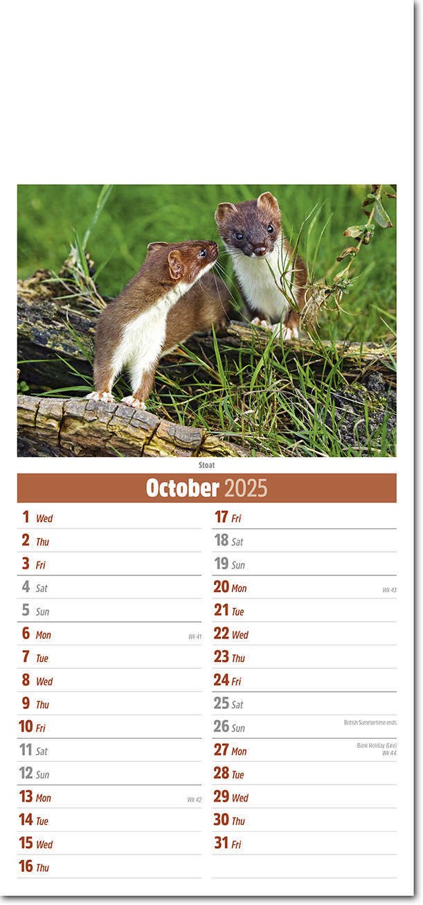 Slimline British Wildlife Compact Calendar