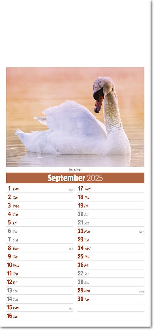 Slimline British Wildlife Compact Calendar